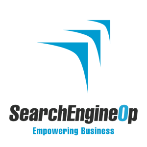 SearchEngineOp Web Design SEO Guelph 300x300